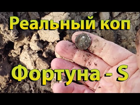 Видео: Реальный коп с  Фортуна-S