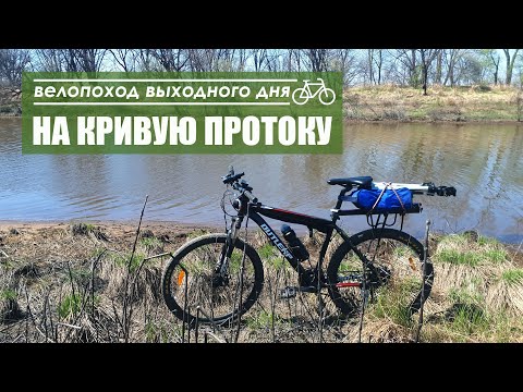 Видео: На Кривую протоку. Велопоход выходного дня.