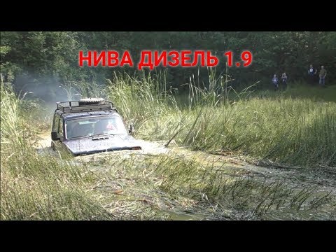Видео: Дизельная НИВА на бездорожье!!! Такого никто не ожидал!!!