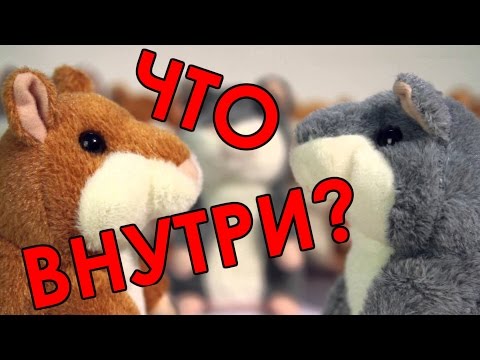 Видео: ЧТО ВНУТРИ хомяка повторюшки? Разбираем говорящего хомяка!