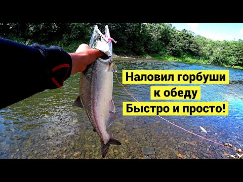 Видео: Наловил горбуши к обеду. Быстро и просто! // Pink Salmon for Dinner. Catch and Cook (Eng Subs)