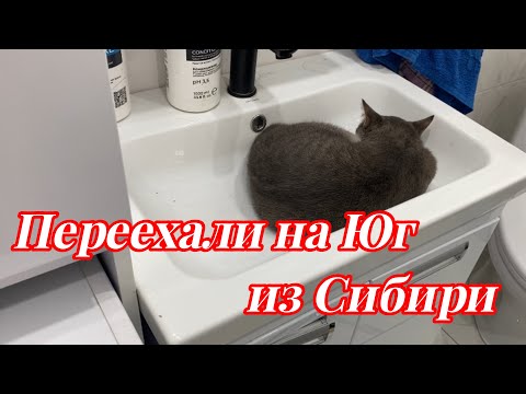 Видео: 682ч🏡30.09.25-Снова рынок с саженцами//Рыбный день//Ремонт