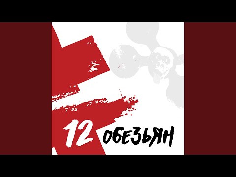 Видео: 12 обезьян