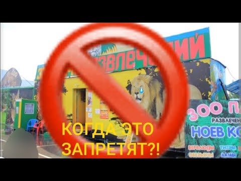 Видео: Передвижные зоопарки-Почему это так плохо?