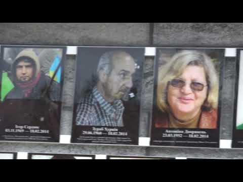 Видео: Берегове