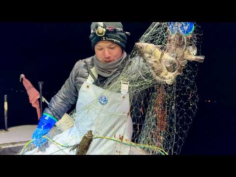 Видео: Общая стоимость сеток составляет 250 000 иен! Сколько можно заработать за одну ночь?