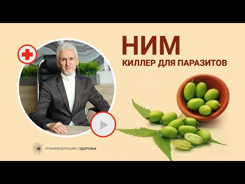 Видео: НИМ: киллер для паразитов и микробов