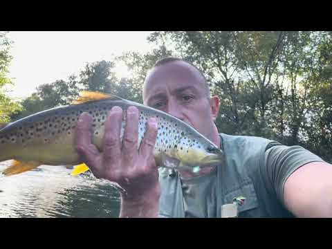 Видео: Закриване на пъстървите с глиган ! 27/09/25