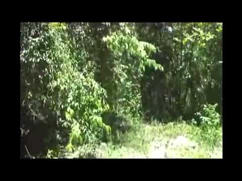 Видео: ГСВСК. 12 уч. центр 2013 г.