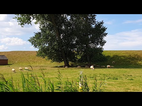 Видео: Здесь мы живем !Я Люблю тебя жизнь!!!!!!