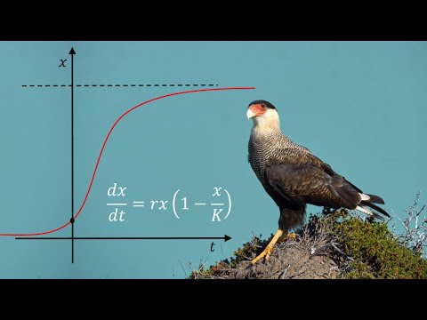 Видео: Дифференциальные уравнения в биологии