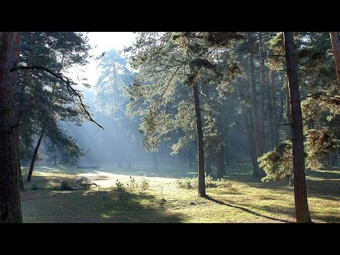 Видео: [Слово]Магічна битва.  1