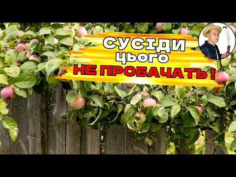 Видео: Чи можна зрізати гілки дерев сусідів - що робити, якщо дерево сусіда заважає