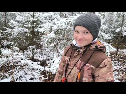 Видео: Охота с лайками. (перезалив)