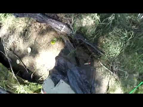 Видео: Рыбалка в Бурятии 2024. Фильм 3. Клёвые ямки с хариусом. Продолжение следует...