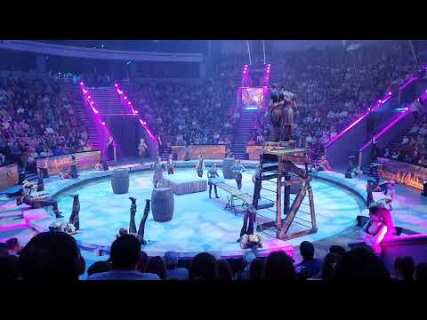 Видео: Заколдованная (Большой московский цирк 14.01.2023)