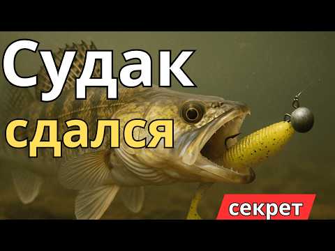 Видео: Судак сдался! ТОП-10 джиговых приманок 2025 года