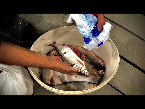 Видео: Как посолить рыбу ? Простой и вкусный рецепт!