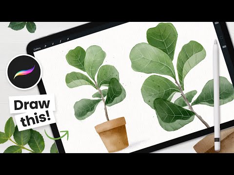 Видео: Как рисовать: акварельное фиговое дерево с листьями скрипки • Учебник Procreate