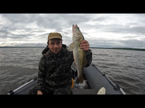 Видео: ОБАЛДЕННАЯ РЫБАЛКА НА СУДАКА. И КРУПНОГО ОКУНЯ В КАРЕЛИИ 🎣
