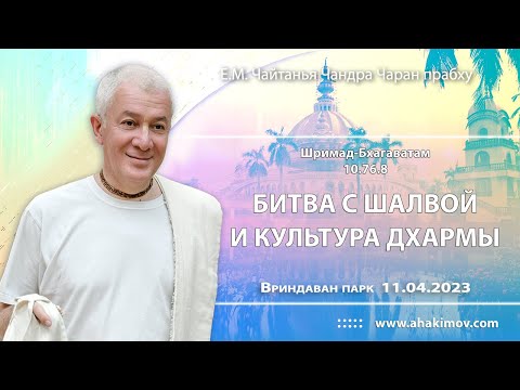 Видео: 11/04/2023, ШБ 10.76.8, Битва с Шалвой и культура дхармы - Чайтанья Чандра Чаран Прабху