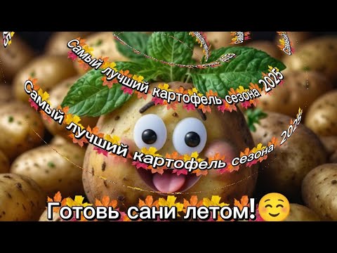 Видео: Самый лучший картофель сезона 2025. Готовим семена осенью.