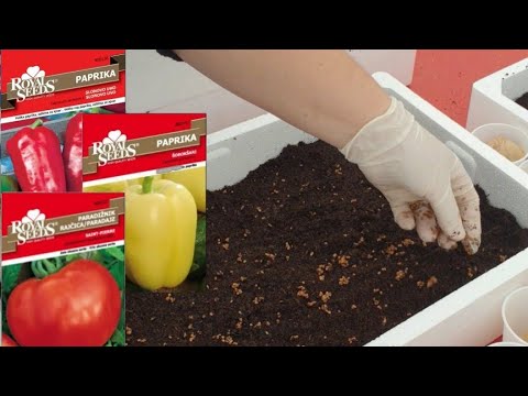 Видео: Не ошибитесь! Когда начинать сеять овощи?