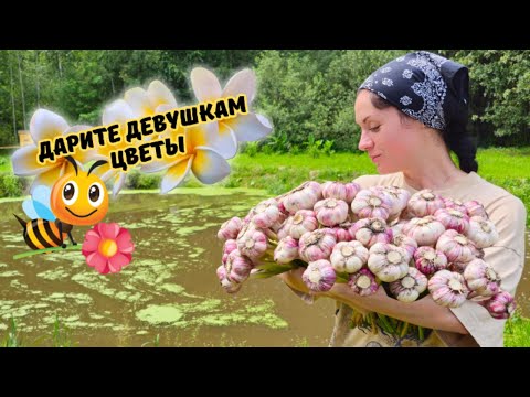 Видео: 🌿Жизнь в Полесье: семья, труд и деревенские будни без прикрас!👩‍❤️‍👨🤗♥️ ВЫПУСК 31