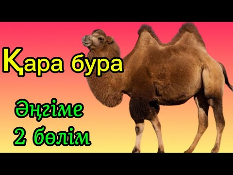 Видео: Қара бура / 2 бөлім / Асқар Алтай