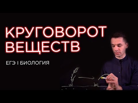 Видео: Круговорот веществ в природе | ЕГЭ Биология | Даниил Дарвин