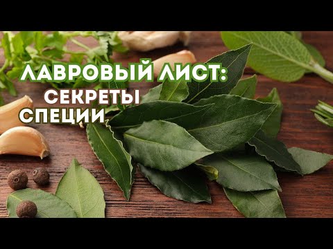 Видео: Что скрывает лавровый лист, и почему его нужно мыть