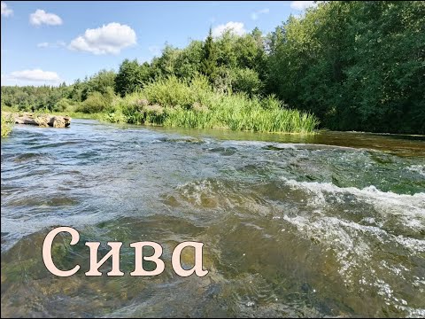 Видео: Сплав по реке Сива. Пермский край - Удмуртия.