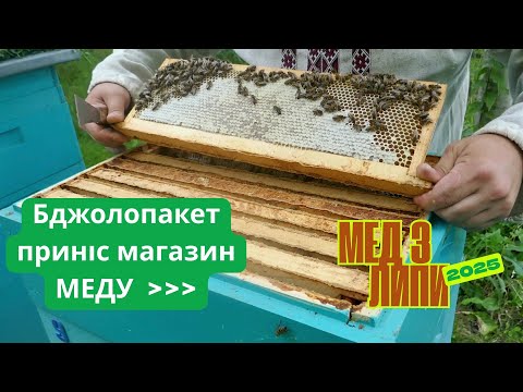 Видео: Мед з липи 2025! Бджолопакет приніс магазин меду!