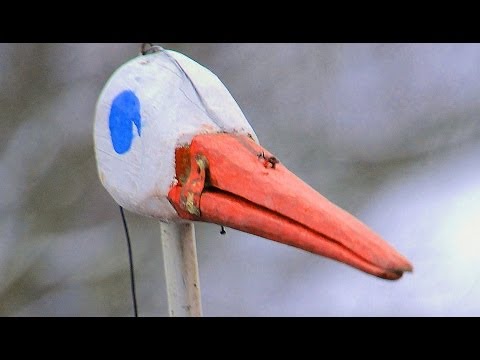 Видео: Коляды и Рождество в Беларуси! [English sub.] | Film Studio Aves