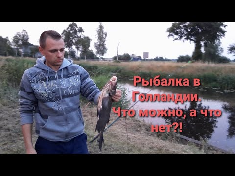 Видео: Рыбалка в Голландии.  Что можно и что запрещено делать. Наш улов.