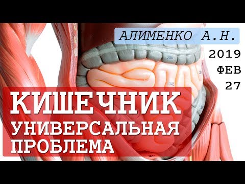 Видео: Универсальная проблема Кишечной Трубки (ЖКТ). Алименко А.Н. (27.02.2019)