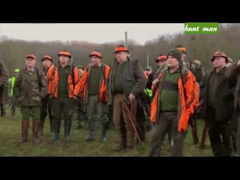 Видео: Загонная охота на копытных в Венгрии