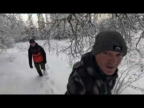 Видео: Большой Иремель в ноябре. Снега по пояс, зимний лес и никого на горе.