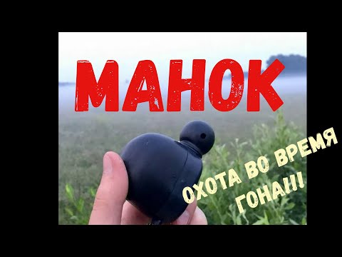 Видео: Охота на самца сибирской косули во время ГОНА!!!