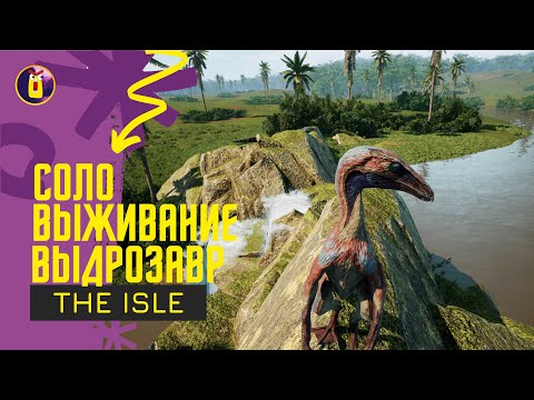 Видео: The Isle Evrima. Соло выживание за бэйпяозавра.