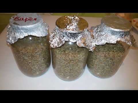 Видео: Подготовка зерна