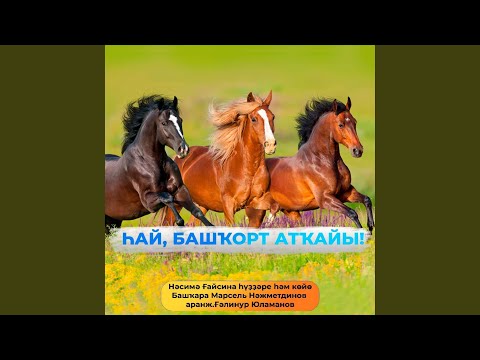 Видео: Һай, башҡорт аты . М.Нажметдинов .