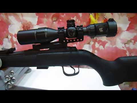 Видео: hatsan escort  22lr отстрел на кучность