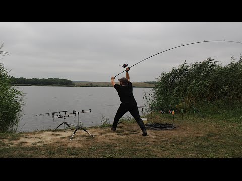 Видео: Ловля карпа на бойлы.Марьевское водохранилище.Carp fishing.Карпфишинг