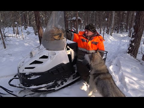 Видео: ВДВОЁМ С УРАГАНОМ ПРОВЕРИЛИ ДВА ПУТИКА. ПОДНОВИЛИ ПРИМАНКУ.