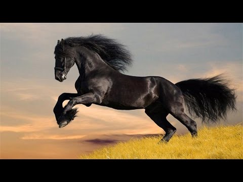 Видео: "Абубакр Сиддиқ р.а" 1 дарс Акрамжон домла