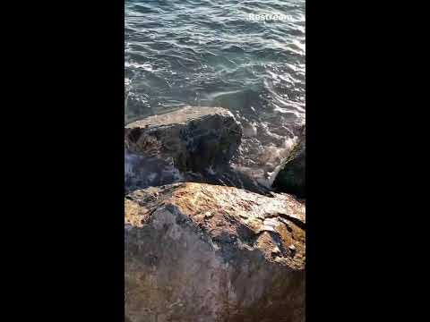 Видео: Море. Отдых. Адлер-Сочи