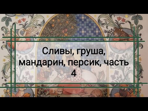 Видео: "Voyage", часть 4