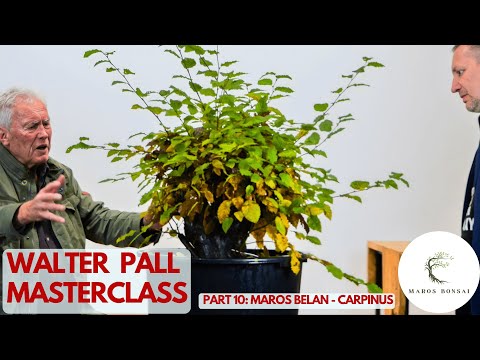 Видео: Уолтер Полл помогает мне стилизовать граб