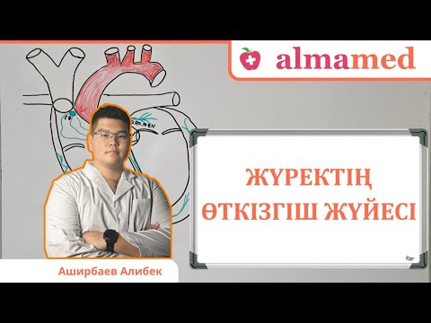 Видео: Жүректің өткізгіш жүйесі
